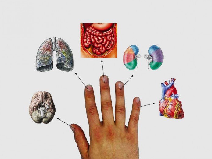 Katrs pirksts ir saistīts ar diviem orgāniem – japāņu ārstniecības metode