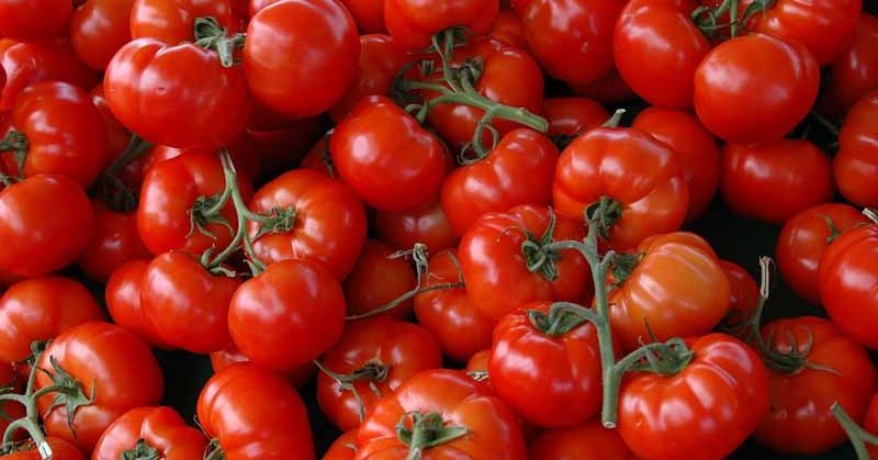 Zaļi un sarkani tomāti pret vēnu varikozi