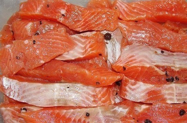 Vienkāršākā sarkanās zivs mazsālīšanas recepte