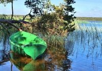 Būšnieku ezera dabas takas apmeklētāju skaits pārsniedzis desmit tūkstošus šajā sezonā