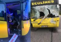 Lūk, arī informācija par negadījumā cietušā šofera veselības stāvokli, kura autobuss saskrējās ar alni!