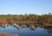 Pēta Latvijas ezerus, kur cilvēks nav spēris kāju