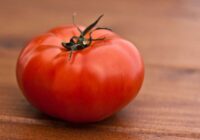 Iespējams nākamgad tomātus vairs neēdīsim vispār; kāpēc tā?