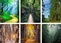 “Apskatiet piedāvātos meža attēlus un izvēlieties sev vispatīkamāko!” – Izvēlētais attēls atklās jūsu patiesās vēlmes