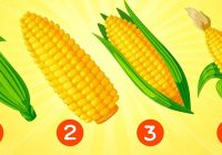 Apskatiet šīs kukurūzas, izvēlieties vienu un uzziniet, ko jums dāvās pēdējais vasaras mēnesis