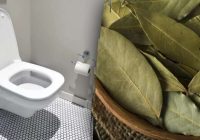Kāpēc jāmet lauru lapu tualetē: noslēpumi, kurus zina tikai ideālas saimnieces