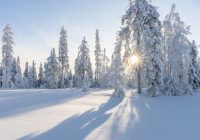 Latviešu meteorologs Toms Bricis atklāj, kad Latvijā varētu iestāties ziema! Vai drīz?