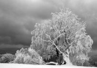 Sinoptiķi nāk klajā ar lielo ziemas prognozi šai ziemai Latvijā – tā būs anomāla vai tomēr parasta ziema?