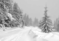 Astrologs Pāvels Globa dalījās ar jaunu prognozi un paziņoja, ka gaidāmā ziema būs briesmīga