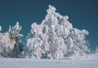 ”Janvārī ziema parādīs visu savu spēku”: noskaidro, kas Latvijā gaidāms janvāra mēnesī