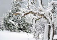 Februārī iestāsies klimatiskais murgs: sinoptiķi ir paziņojuši jaunu prognozi ziemas beigām