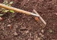 Dobju sagatavošana stādīšanai: kā ātri “pamodināt” augsni
