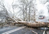 Situācija Mainīsies ļoti strauji! Paziņots, kāds laiks patiesībā gaidāms pēc vakardienas sniega Puteņošanas