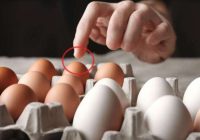 “Nekad Dzīvē nepērciet Šādas olas”, pat ja tām ir atlaide! Savādāk iedzīsiet sevi Kapā – Lūk kāpēc!