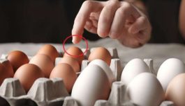 “Nekad Dzīvē nepērciet Šādas olas”, pat ja tām ir atlaide! Savādāk iedzīsiet sevi Kapā – Lūk kāpēc!