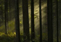 Ārzemju meteorologi atklāj, ka jūnijā gaidāmas spēcīgas viesuļvētras; zināmi krustuguns reģioni!