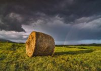 Jūnijs un jūlijs būs traks. Meteorologi ir krasi mainījuši laika prognozes vasaras sākumam