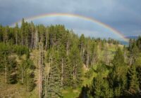 Sinoptiķis stāstīja par laikapstākļiem nākamnedēļ: vai mūs sagaida “meteoroloģiski pārsteigumi”?