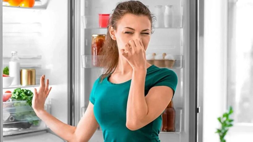Nosaukts negaidīts produkts, kas vislabāk noņems ledusskapī dažādas smakas – lēts un vienkāršs