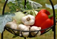 Garšaugi, kurus vienmēr vajadzētu stādīt kopā, lai samazinātu kaitēkļu skaitu un iegūtu lielāku ražu