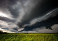 Sinoptiķi jau laicīgi paziņo, ka augusts nebūs tāds, kā mēs visi to gaidām; prognozes ir pilnībā mainījušās