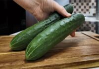 Visu vasaru ēdam kilogramiem gurķu – Turku pavārs iemācīja pagatavot auksto uzkodu 5 minūtēs