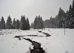 Sinoptiķi ieskicē ainu uz ziemas sākumu: izskan informācija, kad varam gaidīt jau pirmo sniegu