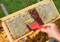 5 veidi, kas jums ir jāzina, kā pārbaudīt medus dabiskumu