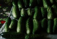 Gurķi saglabāsies svaigi un nekļūs pelēti vai gļotaini, ja tos uzglabās kopā ar 1 virtuves piederumu