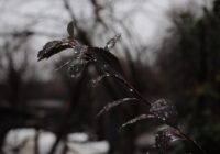Kāds būs rudens 2025. gadā: prognoze septembrim, oktobrim un novembrim