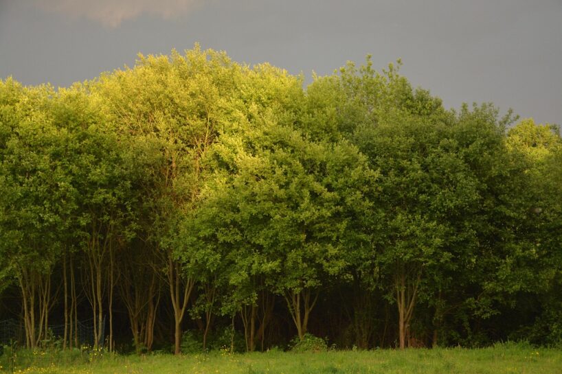 Rudens iestāsies agrāk nekā parasti: sinoptiķi ir nosaukuši precīzu datumu, kad ienāks ”aukstuma vilnis”