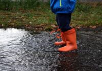 Meteorologi prognozē, ka no 16. augusta sāksies sarežģīts laikposms, kas turpināsies nepārtraukti 30 dienas