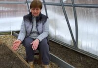 Kā pareizi rudenī apstrādāt siltumnīcu, lai pavasarī būt mazāk problēmu