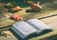 Horoskops 27. septembrim: Jaunavai – draudzīgs padoms, Mežāzim – cits skatījums