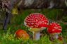 Horoskops 13. septembrim: Dvīņiem – interesanta situācija, Jaunavai – negaidīts viesis