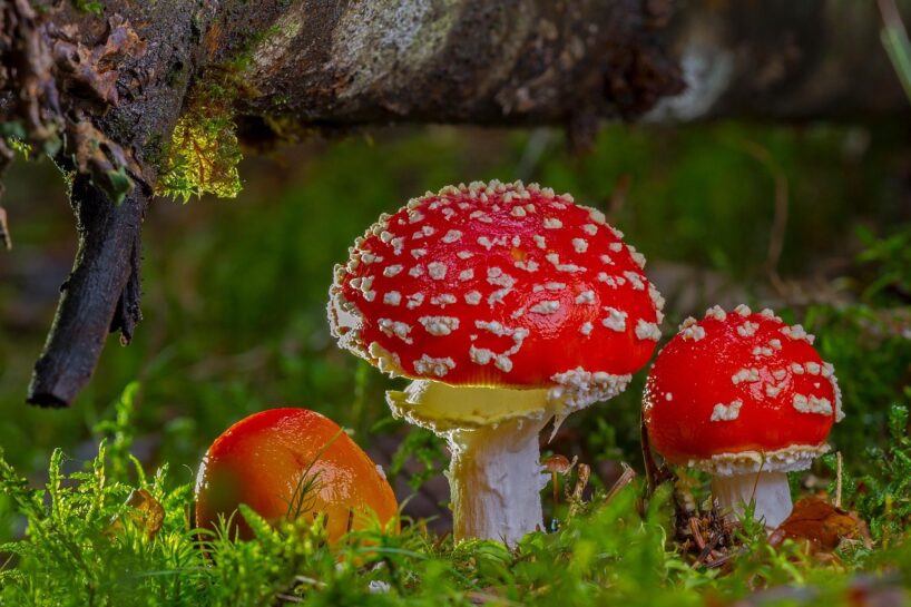 Horoskops 13. septembrim: Dvīņiem – interesanta situācija, Jaunavai – negaidīts viesis