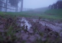 Negaidīti ieradīsies pirmais sals: sinoptiķi izziņo precīzu rudens prognozi un tā nav patīkama