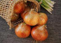 Vienkārša metode kā uzglabāt sīpolus, lai novērstu dīgšanu