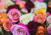 Rozes rudenī ziedēs īpaši koši, ja līdz septembra beigām veiksiet vienu 10 sekunžu uzdevumu