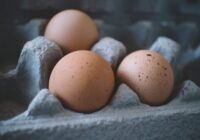 Pastāstīsim, kāpēc aprakt olu augsnē: interesants eksperiments, ko izmēģināt