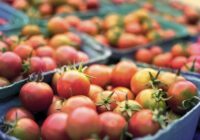 Tomāti būs sulīgāki un saglabāsies vairākus mēnešus, pateicoties vienam negaidītam uzglabāšanas paņēmienam