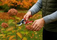 Dārznieki nosaukuši 7 augus, kurus oktobrī nevajadzētu apgriezt, lai pavasarī dārzs ziedētu bagātīgi