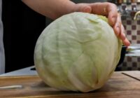 Nekad nebiju gatavojusi tik garšīgu kāpostu — lieliska recepte, un pats galvenais, ka tā ir vienkārša Nekad nebiju gatavojusi tik garšīgu kāpostu — lieliska recepte, un pats galvenais, ka tā ir vienkārša