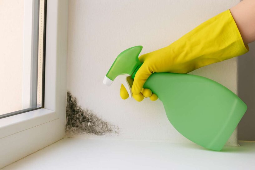 Pārstāj lietot ķīmiskos līdzekļus, lai tīrītu pelējumu no sienām, jo viens dabīgs paņēmiens darbojas labāk