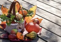 Horoskops 3. novembrim: Aunam – šķēršļi ceļā uz sapņa piepildījumu, Strēlniekam – patīkama situācija