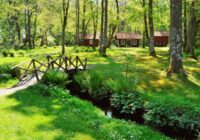 Dārzniekiem iesaka novembrī uzliet trauku mazgājamo līdzekli uz zāliena Dārzniekiem iesaka novembrī uzliet trauku mazgājamo līdzekli uz zāliena