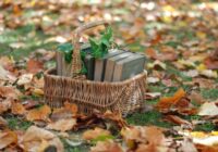 Neizmetiet lapas šoruden — tās var palīdzēt jūsu dārzam nākošā gada pavasarī