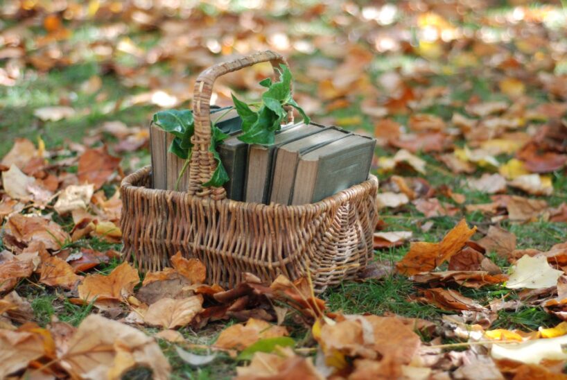 Neizmetiet lapas šoruden — tās var palīdzēt jūsu dārzam nākošā gada pavasarī