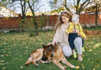 Agronomiskais kontrolsaraksts ar padomiem, lai sagatavotu savu vasarnīcu aukstajam laikam