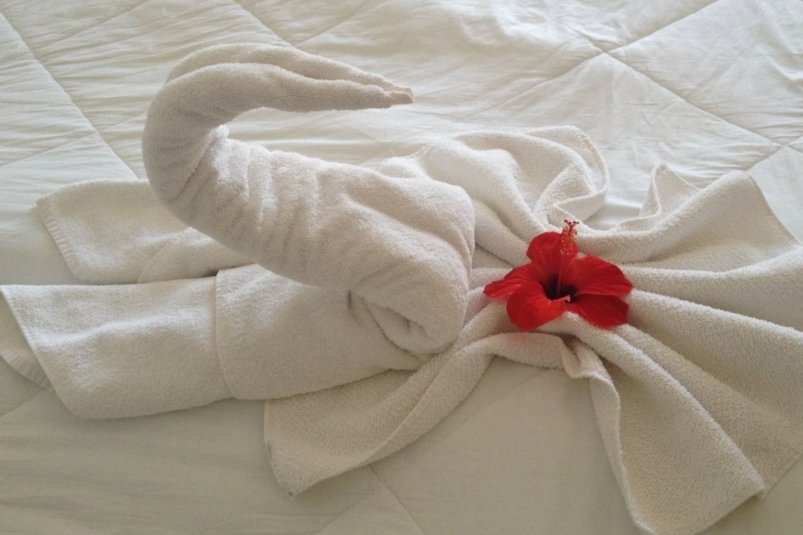 Sniegbaltu dvieļu noslēpums: es izmantoju trīs soļu metodi – tīrība kā dārgā viesnīcā